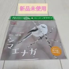 Item thumbnail for item 75a4909b-f96f-4309-b299-3760d4d5fc77