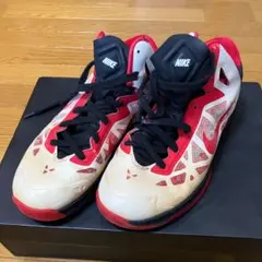 【レアカラー】ナイキ ハイパーフューズ バッシュ 25cm ※要靴紐交換