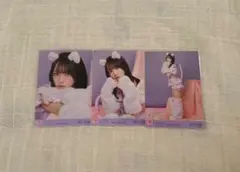 LOVE 野口衣織 猫 直筆 生写真 コンプ - メルカリ