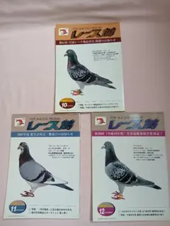 2026年最新】レース鳩の人気アイテム - メルカリ