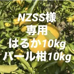 NZSS様専用はるか10kg・パール柑5L以上10kg