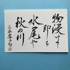 書道作品　新作　高浜虚子句　画仙紙はがき　直筆