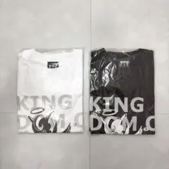 Item thumbnail for item 4bccc9da-e2d5-47e5-a786-835a15e4b47c