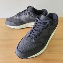 nike / w air max 1 pinnacle / 25cm
