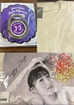 Item thumbnail for item 4d46a6fd-50be-405a-8080-ff0ac5c5d1e3