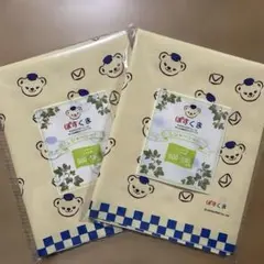 Item thumbnail for item 847b4c9c-1448-42ae-a662-9c342a16bf76