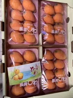 高級長崎特選茂木びわ2L〜3L18粒〜20粒御祝 お見舞 御供 父の日 