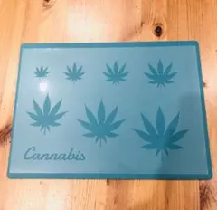 Item thumbnail for item a0c81165-cf5a-4f54-b443-94ee7269dc53