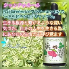 予約コスモス (秋桜) ～調和・思考を言語化～フラワーエッセンスシャン
