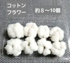 Item thumbnail for item 5ab2de06-9fd8-4755-b52f-d9d97296e1cc