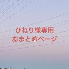 ひねり様専用 商品おまとめ