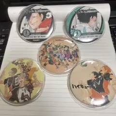 ハイキュー!! キャラクター缶バッジセット
