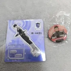 HOSHINA アクリルスタンド & KAFKA HIBINO バッジ セット