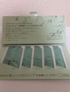 【新品未使用】チェントンツェ E ヘアクレンジングシャンプー お試し 5パック