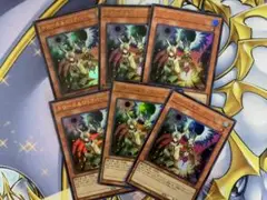ドロール&ロックバード　ウルトラ　6枚セット