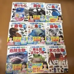 2026年最新】図鑑neo dvdのみの人気アイテム - メルカリ