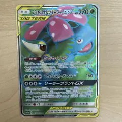 フシギバナ＆ツタージャGX SR SM11a リミックスバウト 066/064 - メルカリ