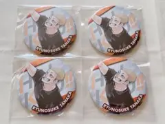 ハイキュー ハイキュー!! コレクション缶バッジ 10周年 田中龍之介