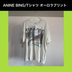 ANINE BING Tシャツ オーロラプリント ホワイト 38 ANINE BING Tシャツ オーロラプリント ホワイト 38 - メルカリ