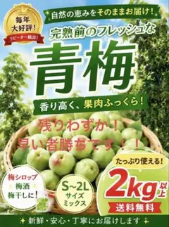 おひさま農園の無農薬青梅 梅2kg - メルカリ