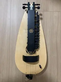 2025年最新】リュート 楽器の人気アイテム - メルカリ