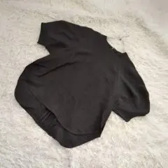 PASSIONE バルーンスリーブ　半袖　カットソー　バックファスナー　透け感