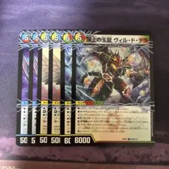 サイクリタ　ミラクルスZ　ヴィルドテラ　ヴォルグイソレイト　各2枚