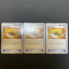 せいなるはい XY 1ed 3枚セット