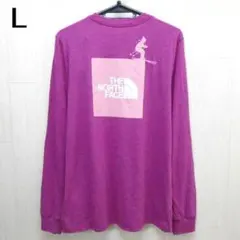ザ ノースフェイス スキーグラフィック ボックスロゴ 長袖Tシャツ L ピンク