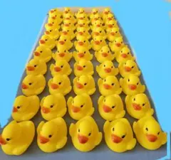 アヒル　ソフビ　まとめ売り