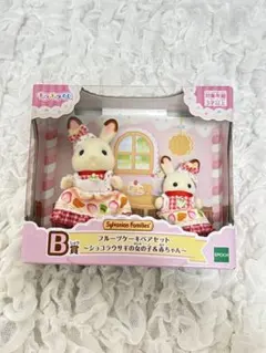 シルバニアキラキラくじB賞♡新品未開封