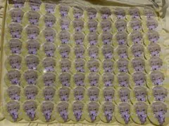 浦島坂田船 センラ 缶バッジ 2021夏 ラブレター