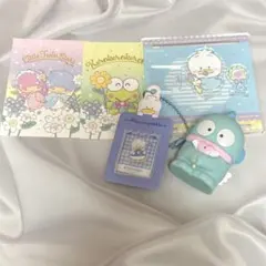 サンリオ　あひるのペックル　シークレットミニチュアチェキ用ホルダー　ハンギョドン