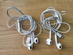 iPhone 純正 イヤホン　ライトニング　アップル　２点セット