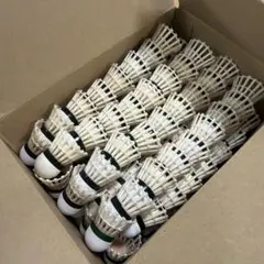 Item thumbnail for item 6982eaed-f622-48ec-a23e-36c028d17074