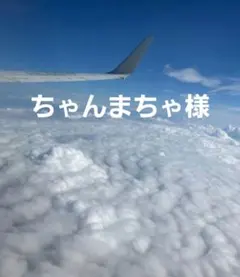 ちゃんまちゃ様