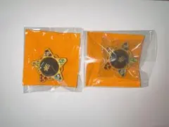 あんスタ 10th リンライ スフィアライト 南雲鉄虎 流星隊 セット