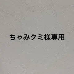 ちゃみクミ様専用