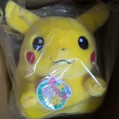 ポケットモンスター 30周年記念 おかえり！ピカチュウ1/1