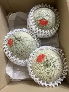 糖度19!! 「太陽の華」富良野メロン 2玉 品種：ティアラ - メルカリ