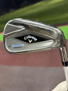 Item thumbnail for item ba27d743-1ffb-4007-83e5-eeabc4d3d110