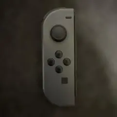 ジョイコン グレー　L 動作確認済み