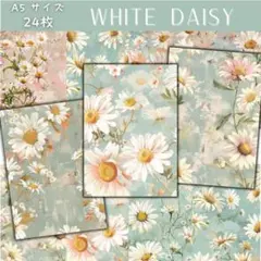 Item thumbnail for item faaffcdd-9d6c-42fd-9a1c-cde0936000c6