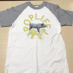 美品！未着用】JUDY AND MARY 97年ツアー バンドTシャツ 白 L - メルカリ
