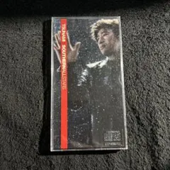 2025年最新】tsunami サザンの人気アイテム - メルカリ