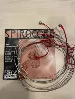 2026年最新】ウッドベース弦SPIROCOREの人気アイテム - メルカリ