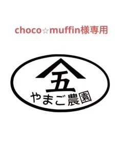 choco⭐︎muffin様専用