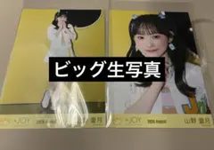 2026年最新】山野愛月の人気アイテム - メルカリ
