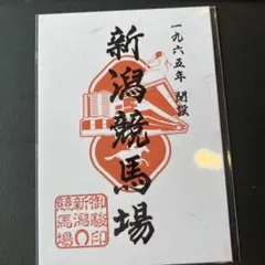 2025年最新】御駿印 競馬の人気アイテム - メルカリ