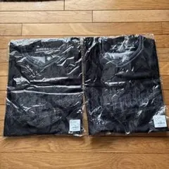 Item thumbnail for item 2627f1d0-4fb9-4659-a2ce-7ba734826267